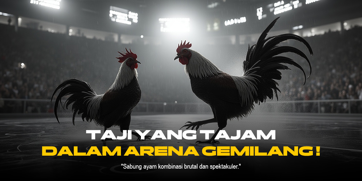 Membedah Jaguh Sabung Ayam: Jenis Ayam Aduan Terbaik di SV388