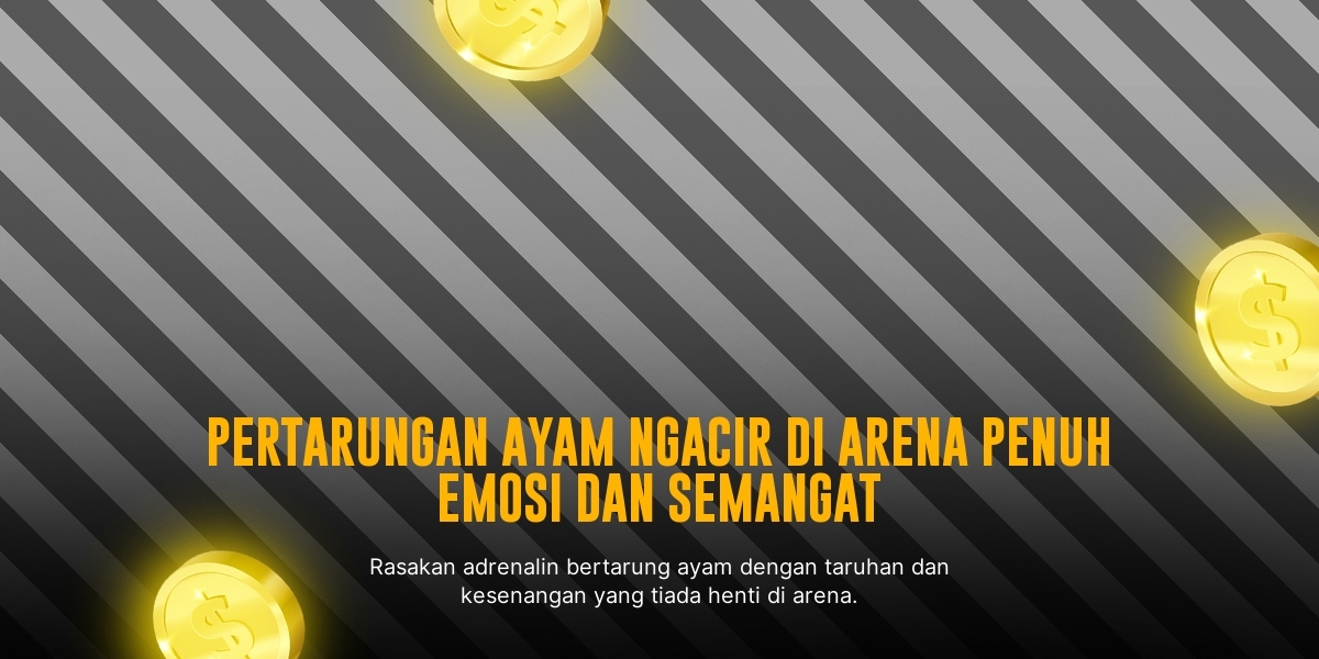 Mengenal Ayam Saigon dalam Sabung Ayam SV388
